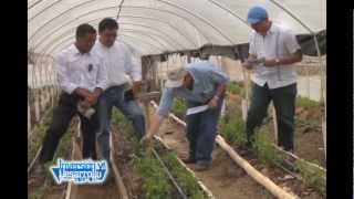 preview picture of video 'Inversion y Desarrollo con Luis Velasquez 252 Productores Rurales de Totonicapan'