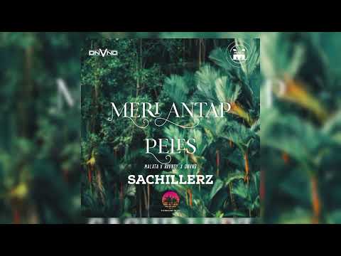 DNVND - Meri Antap Peles (Feat. Malata & Brvndy)