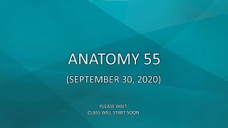 Anatomy 55 (September 30, 2020)