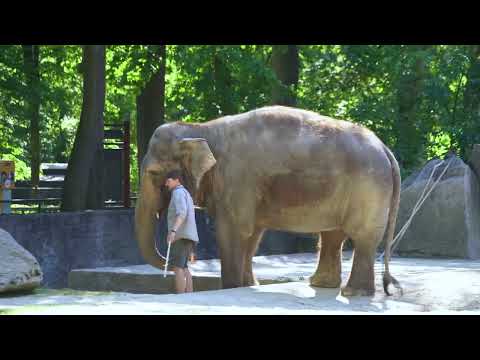 Tschechien Reiseberichte: Liberec!