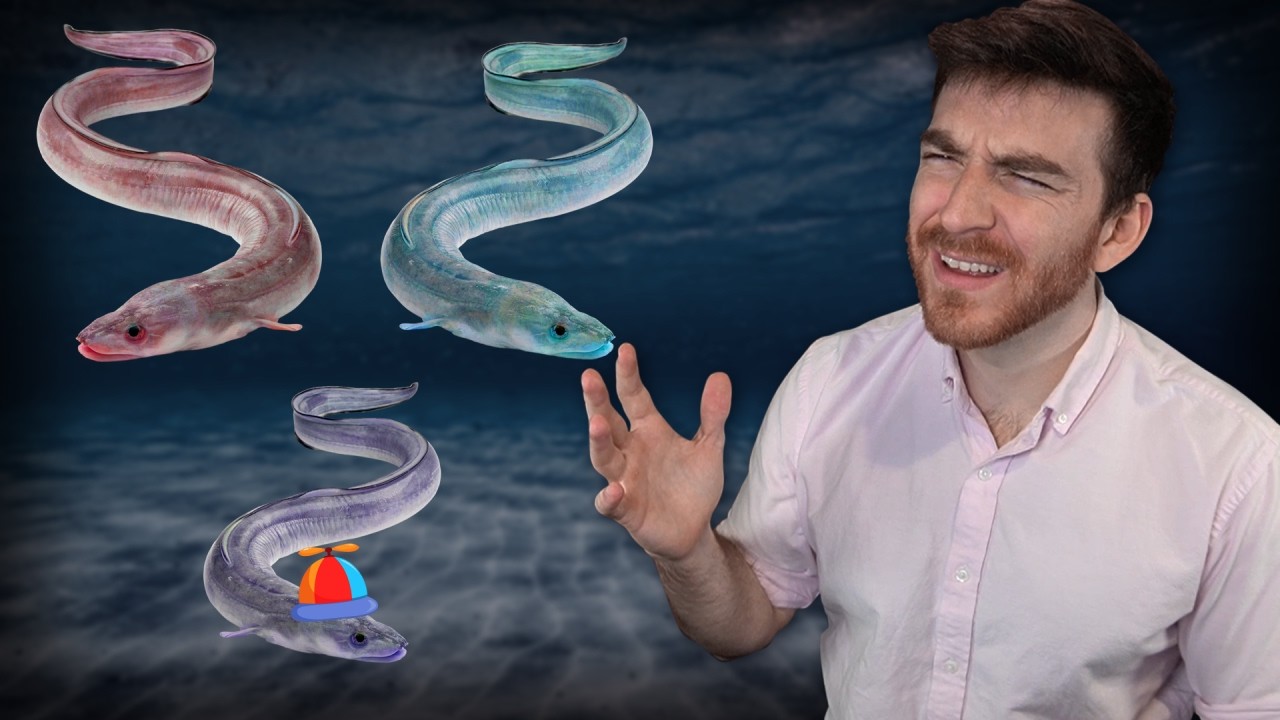 I really wanna know how Eels make babies