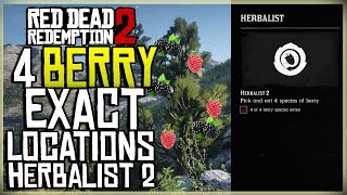4 DIFFERENT BERRY LOCATIONS - PICK AND EAT 4 SPECIES OF BERRY - HERBALIST 2 - RED DEAD