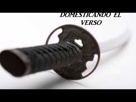 DOMESTICANDO EL VERSO- E.P.Murcy & Toto Rhiina