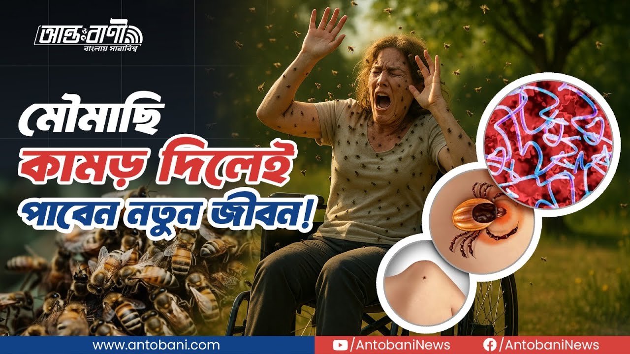 এক ঝাঁক মৌমাছির কামড়ে নতুন জীবন!