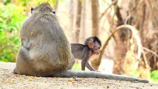 Download lagu 01 57 mp3 Download lagu 01 57 mp3