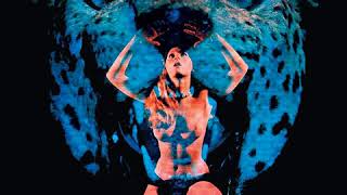 P.M.S. - Cocaine Cunt