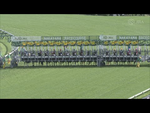 2021 Satsuki Sho (Japanese 2000 Guineas) (G1)