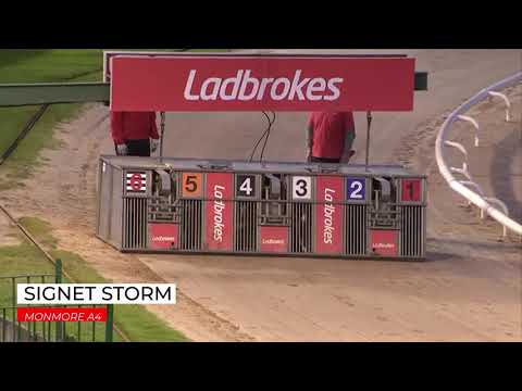 Signet Storm - 3rd September 2020