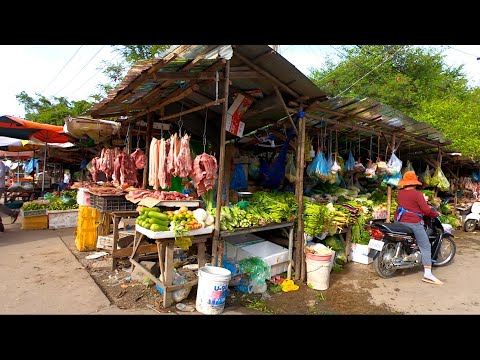 Various markets around Phnom Penh City | Driving tour in the morning