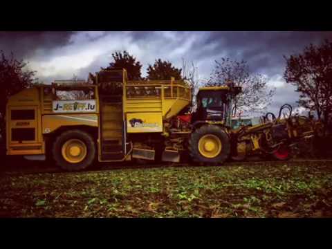 JOGiPiCs; Rübenernte 2016 J-REIFF.LU