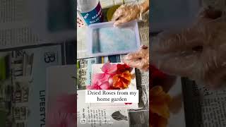Dry flower for Resin/ how to use Silica gel/ Dry your own roses/ Resin art/ dry resin flowers