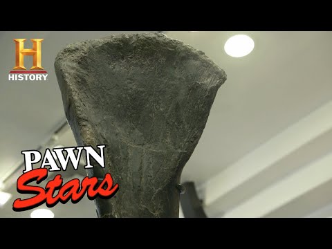 Pawn Stars: HUGE DINOSAUR BONE Costs Rick an Arm and a Leg (Season 16) | History