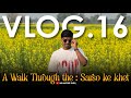 A Walk Through The Sarso Ke Khet Day 3 Vlog No 16 Trending Vlog Youtube