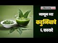निरोगी आरोग्यासाठी कडुनिंबाचे ६ औषधी