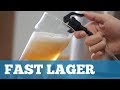 Kit Receita Cerveja Fácil Fast Lager