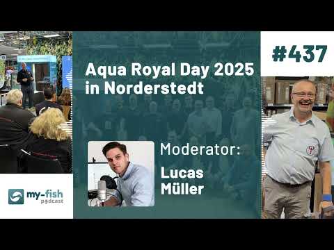 my-fish.org - Live from Aqua Royal Day: Catfish, Sulawesi prawns & research expeditions