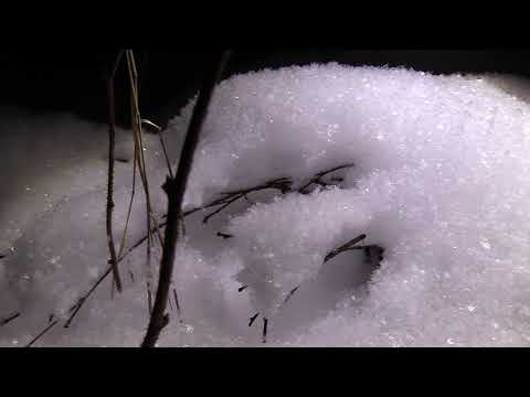 2020 Lumen Valtakunta Haukipudas Kiiminkijoki,  Hietanranta The realm of snow - बर्फ का क्षेत्र