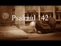 Psalmul 142 / Doamne, auzi rugăciunea mea, ascultă cererea mea...