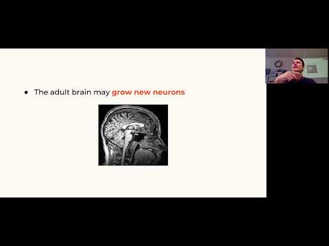 Luminosity with Bob Schafer