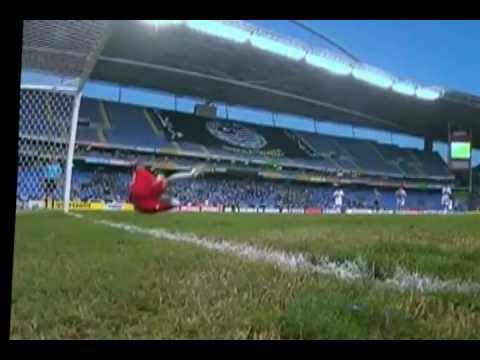 1ª Rodada - BOTAFOGO FR 4x2 São Paulo - 1º Turno Brasileirão 2012 com Evaldo José - wmv