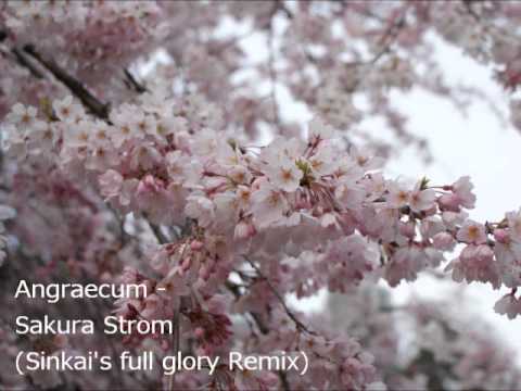 Angraecum - Sakura Storm (Sinkai's full glory Remix)