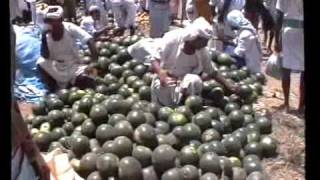 preview picture of video 'Market Bayt al Faqih, Yemen'