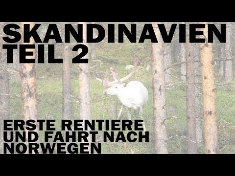 UNSER ROADTRIP DURCH SKANDINAVIEN 2018 - Teil 2