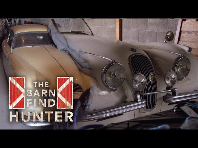 Barn Find