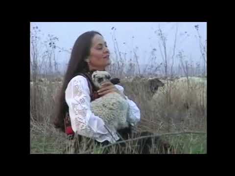 Rock Filarmonica Oradea - Colinda profesională