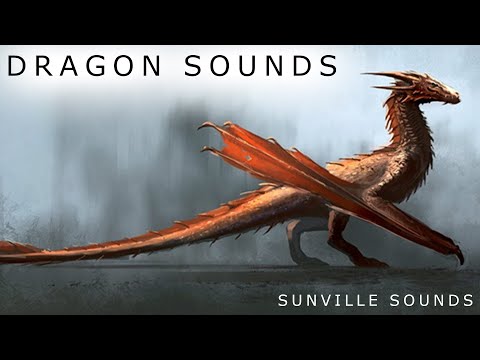 1 Hour of Dragon Sounds | Animal Sounds with Peter Baeten