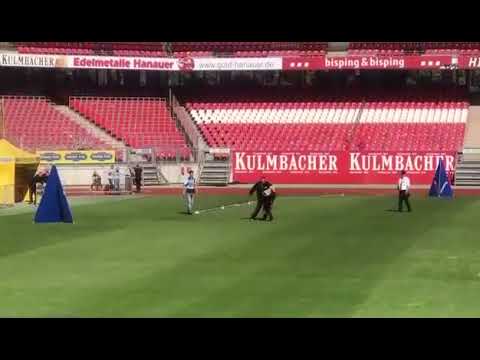 VA5 SASTOR VOM HUHNEGRAB 2021