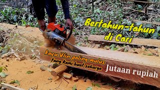 Download lagu SEPADAN DENGAN HARGANYA ‼️ Kayu Ulin yang kami cari selama ini bernilai fantastis mp3 Download lagu SEPADAN DENGAN HARGANYA ‼️ Kayu Ulin yang kami cari selama ini bernilai fantastis mp3