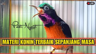 Download lagu KONIN GACOR FULL ISIAN TEMBAKAN MEWAH || MASTERAN & PANCINGAN KOLIBRI NINJA BAHAN DAN MALAS BUNYI mp3