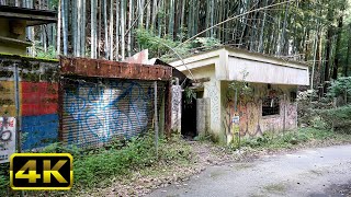 [4K] 廃屋でリラックスする2分半。Relaxing Abandoned House Visuals. Post-Apocalyptic Things