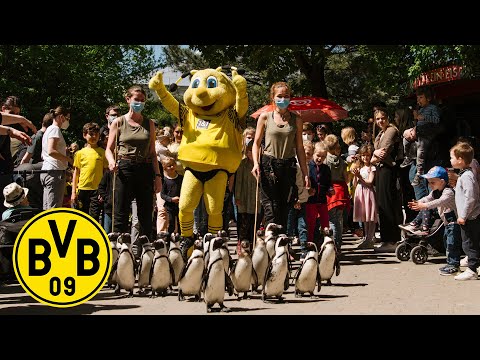 "Die ist so flauschig!" | Zootag in Münster mit dem BVB KidsClub
