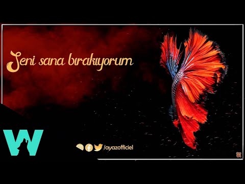 Ayaz Erdoğan - Seni Sana Bırakıyorum ( Official Audio )