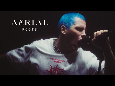 Roots - Aerial