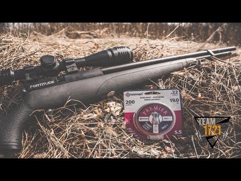 NEW Crosman Fortitude Gen2 .22 cal (First Look)
