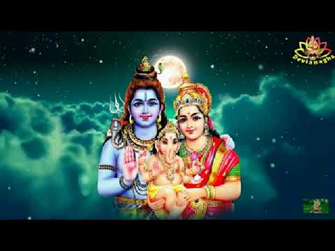 Happy birthday  to u. Pawan hoshiarpuria dil jale.