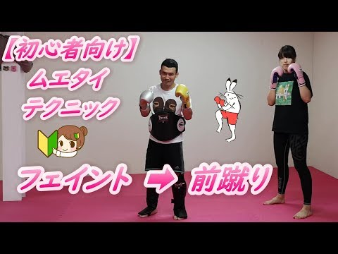 初心者🔰向け ムエタイテクニック フェイントからの前蹴り キックボクシング #キックボクシング #ムエタイ #kickboxing #muaythai
