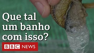 Miniatura do vídeo