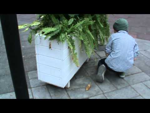 The Killer of Silance