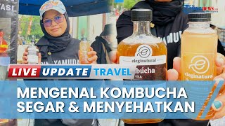 Segarnya Kombucha dari Eleginatural, Teh Fermentasi Buatan Warga Tegal Punya Banyak Khasiat