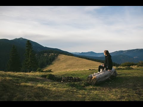 Autumn Journey | Carpathians