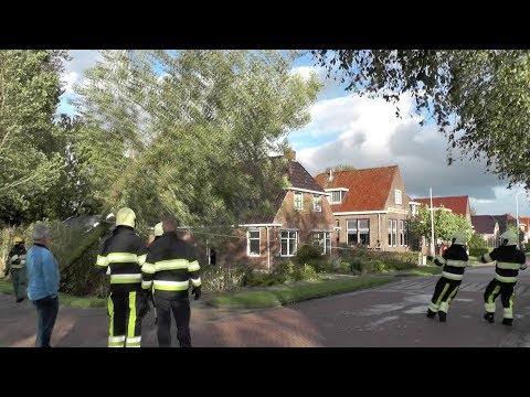 [13.09.2017] Boom omgehaald door brandweer Stasjonstrjitte Metslawier
