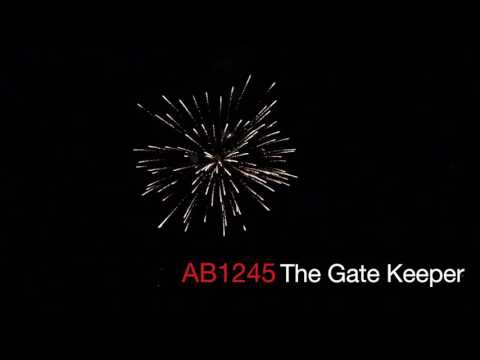 Alien Brand Fireworks - The Gate Keeper 500G