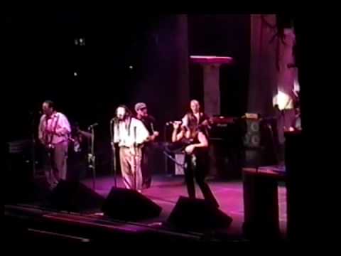 wise monkey orchestra 1999