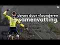 Een lach en veel tranen bij Visma: Jorgenson wint Dwars door Vlaanderen, zware val Van Aert