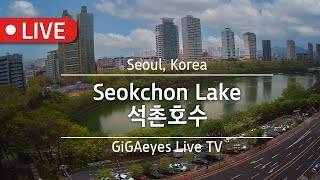 서울실시간 석촌호수라이브 Live Cam I Seoul, "Seokchon Lake", Seoul,Korea I 서울관광지 서울호수 잠실롯데몰 송리단길 잠실소피텔 live webcam