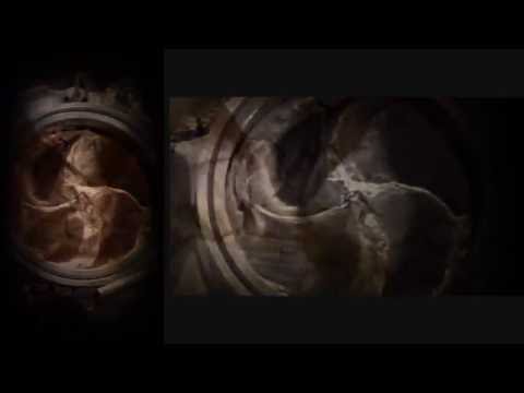 "Where Exactly Are We Now?" - The Andromeda Project